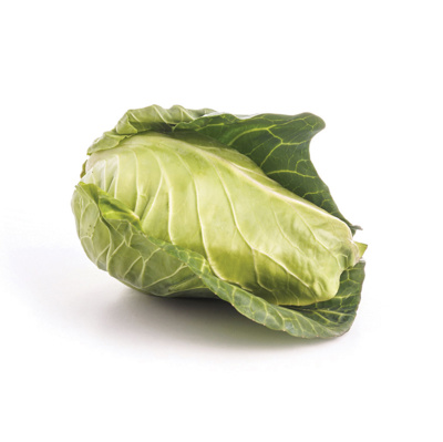 Pointed Green Cabbage