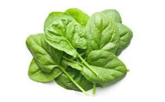 Baby Spinach 500g