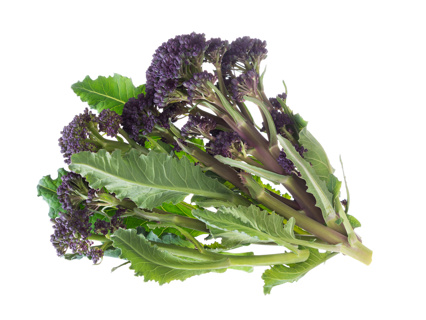 Kinsale Purple Sprouting Broccoli 2kg