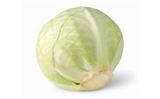 Cabbage - Dutch (White) Heads
