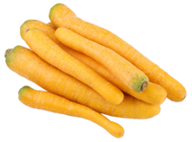 Yellow Carrots 10kg