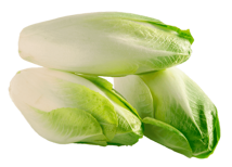 Chicory 5kg