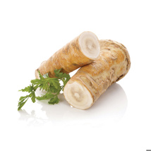 Horseradish Root Single