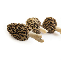 Morelle Mushrooms 1KG