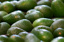 Avocados Ripe 20's