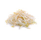 Beansprouts Punnet