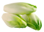 Chicory 5kg