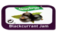 Blackcurrant Portions 20g x 96