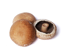Mushroom- Irish Portobello 1.5 kg